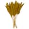 Dried Plant Pampas Natural Foliage with Long Stems
